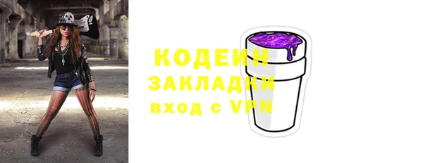 ГАЛЛЮЦИНОГЕННЫЕ ГРИБЫ Бородино