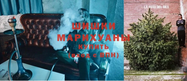 первитин Богданович