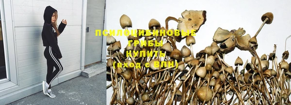 мяу мяу мука Белокуриха