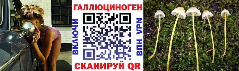 купить сайты Белозерск Галлюциногенные грибы ЛСД